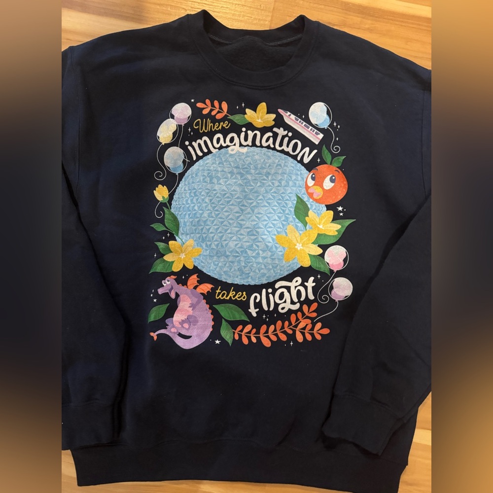Epcot sweatshirt